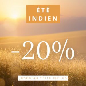 Promotion spéciale été indien